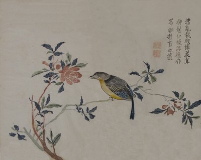 花枝上的鸟，19世纪。 作者 不明