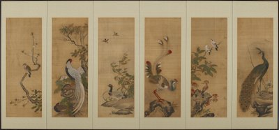鸟和花，江户时期，18世纪。 作者 不明