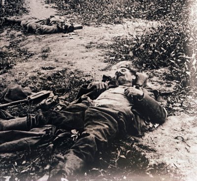 死去的士兵尸体，c1914-c1918 作者 不明