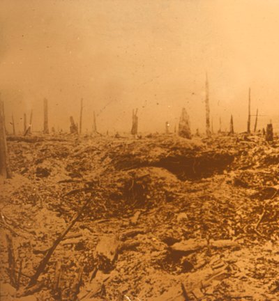 法国北部沃克斯Bois du Chapitre，c1914-c1918 作者 不明