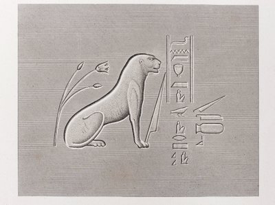 书：埃及描述 作者 不明