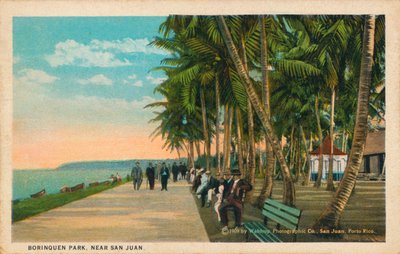 1909年在圣胡安附近的Borinquen公园 作者 不明