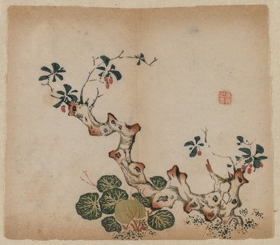 分支树桩，1368-1644年。 作者 不明