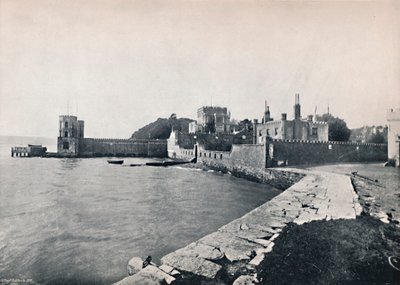 布兰西岛-城堡全景，1895年 作者 不明