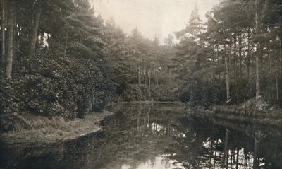 Branksome Chine and Lake，c1910 作者 不明