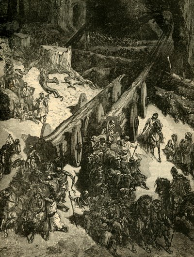 1890年从黎巴嫩带来雪松。 作者 不明