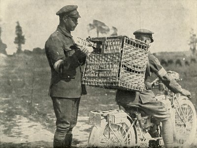 1919年在法国的英国陆军航空母鸽。 作者 不明