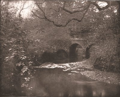 布鲁克和桥梁在新森林，汉普郡，1894年。 作者 不明