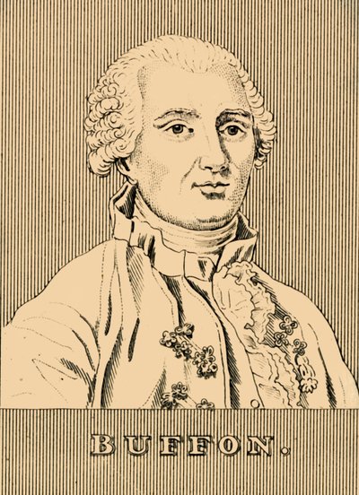 布冯（Buffon），1707-1788，1830年。 作者 不明