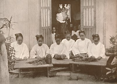 缅甸雪茄制造商，1900年。 作者 不明