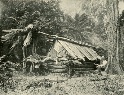 布什小屋，维多利亚州丹德农山脉，1901年。 作者 不明