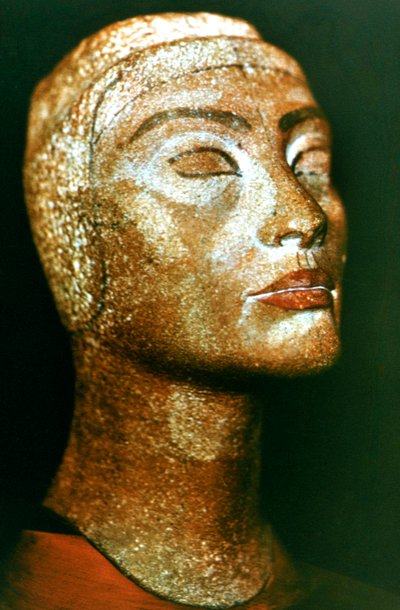 Nefertiti的半身像，古埃及法老王Akhenaten Amenhotep IV的女王和妻子 作者 不明