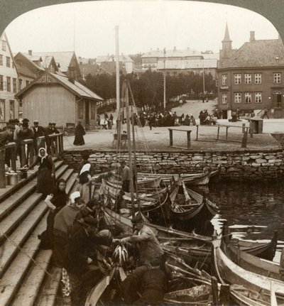 1902年，在挪威北部Tromsoe 69°38 N. Lat。一个繁忙的北极贸易港口购买鱼。 作者 不明