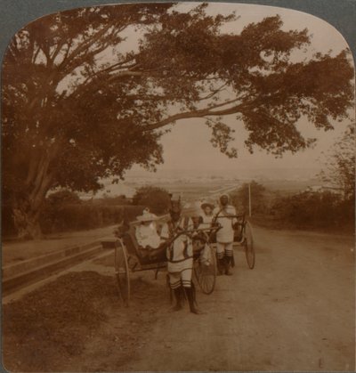 当地居民在居住道路上驾驶的出租车，非洲德班，c1900年 作者 不明