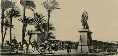 开罗-卡斯尔·埃尔·尼尔桥（Kasr-El-Nil Bridge），c1930-c1939。 作者 不明
