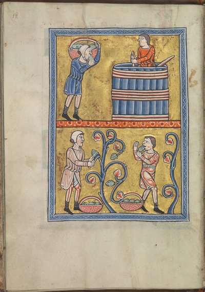 日历，9月，男人采摘和踩葡萄-阿基坦大区埃莉诺诗篇（ca. 1185）-KB 76 F 13，叶面009v 作者 不明