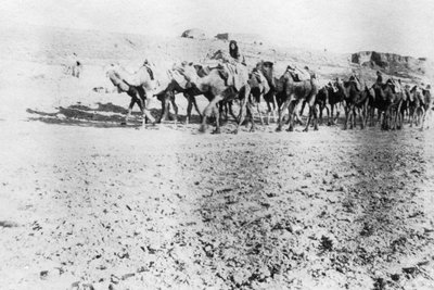 骆驼火车，美索不达米亚摩苏尔，1918年 作者 不明