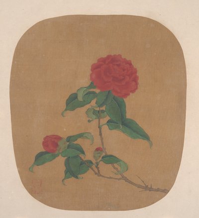 山茶花。 作者 不明