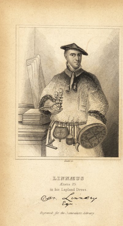 卡尔·林奈 (Carl Linnaeus) 身着拉普兰礼服，瑞典植物学家、医生和动物学家，二项式命名法的发明者 作者 不明