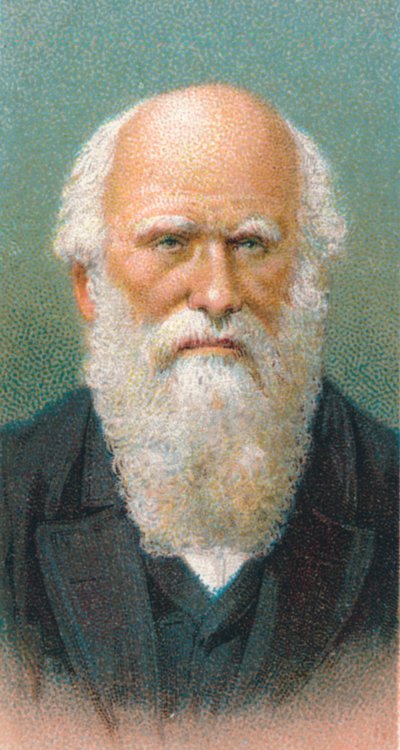 查尔斯·达尔文（Charles Darwin）1809-1882，英国博物学家，1924年 作者 Unbekannt