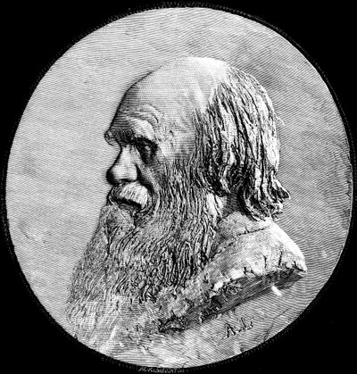 查尔斯·达尔文，1882年 作者 不明