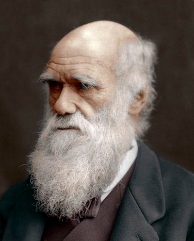 英国博物学家查尔斯·达尔文（Charles Darwin），1878年 作者 不明