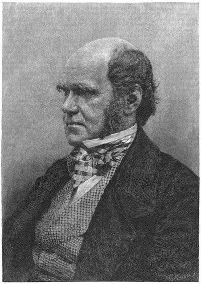 查尔斯·达尔文（Charles Darwin），英国自然主义者，1884年 作者 不明