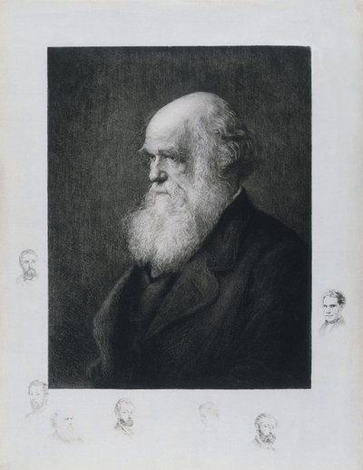 查尔斯-达尔文，英国博物学家，约1860年代 作者 不明