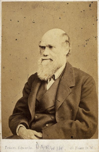 查尔斯-达尔文，英国博物学家，约1870年代 作者 不明