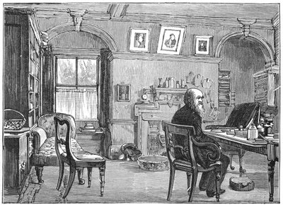 英国博物学家查尔斯·达尔文（Charles Darwin）在研究中，c1870 1887年 作者 不明