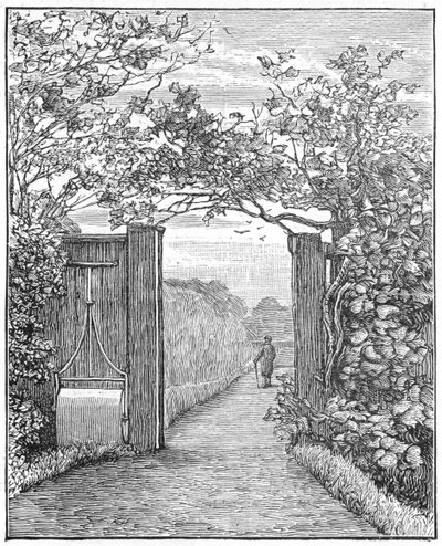 查尔斯·达尔文（Charles Darwin）在唐人街的沙丘漫步（c1870 1887） 作者 不明