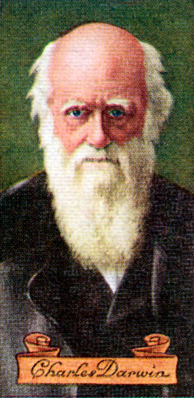 查尔斯·达尔文（Charles Darwin），摘自一系列香烟卡，1935年 作者 不明