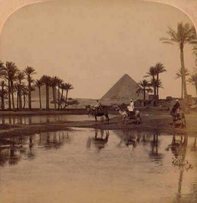 来自肥沃的尼罗河谷的飞燕，1896年 作者 不明