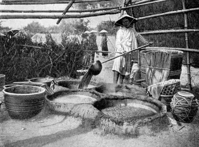 澄清甘蔗汁，越南安南，1922年 作者 不明