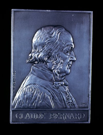 克劳德·伯纳德（Claude Bernard），19世纪法国生理学家，1913年 作者 不明