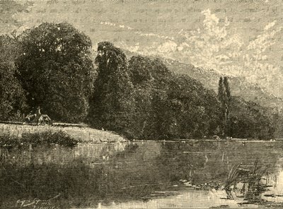 克莱夫登·伍兹（Cliefden Woods），1898年。 作者 不明