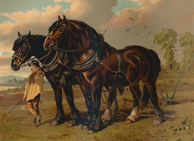 克莱德斯代尔种马和母马，约建于1879年。 作者 不明