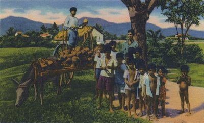 椰子供应商，特立尼达，BWI，c1940年代。 作者 不明
