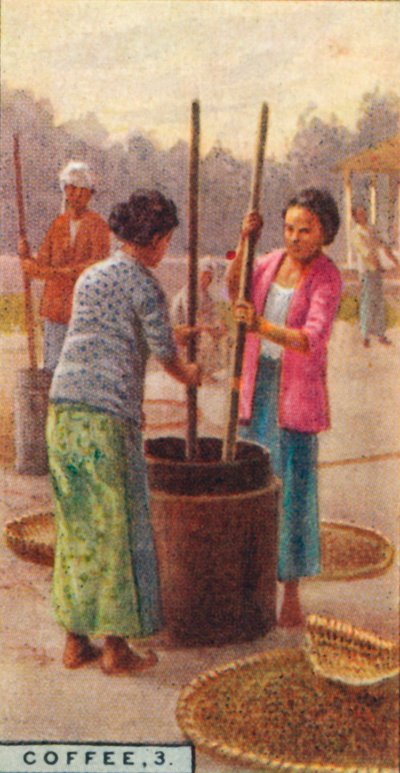 《咖啡》，第3期。《脱壳》，爪哇，1928年 作者 不明