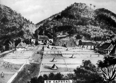 古巴咖啡种植园，1768年c1910年 作者 不明
