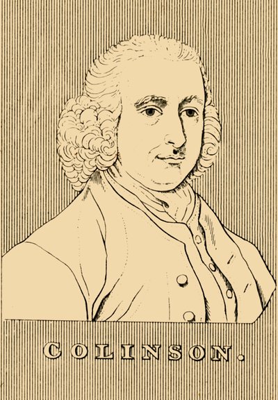 柯林森（Colinson），1694年至1768年，1830年。 作者 不明
