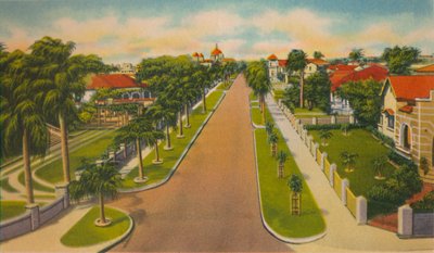 哥伦比亚大道，巴兰基亚，c1940年代 作者 不明