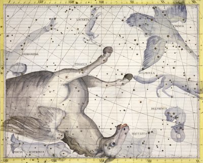 飞马星座, 1729年 作者 Unbekannt