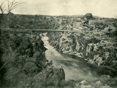 朗塞斯顿附近的科拉·林恩（Corra Lynn），1901年。 作者 不明