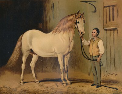 奶油状态马车。女王ud下，大约1879年。 作者 不明