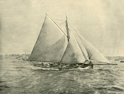 1901年在杰克逊港巡航。 作者 不明
