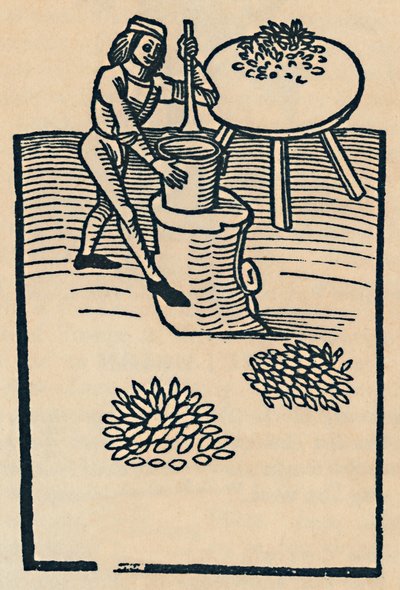 研钵中的碎草药，1947年 作者 不明