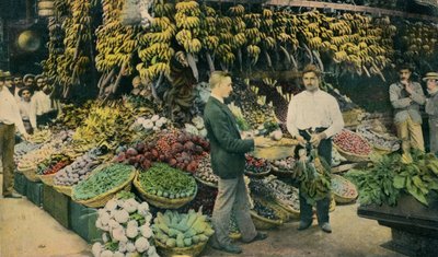 古巴水果店，c1910 作者 不明