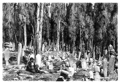 1895年，土耳其Scutari公墓的柏树 作者 不明