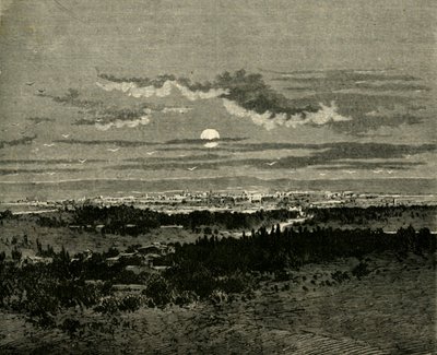 大马士革，1890年。 作者 不明